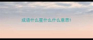 成语什么星什么什么意思