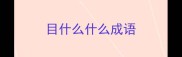目什么什么成语