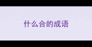 什么合的成语