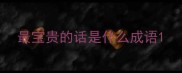 最宝贵的话是什么成语