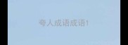 夸人成语成语