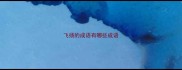 飞扬的成语有哪些成语
