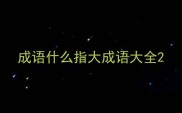 成语什么指大成语大全