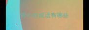 带小的成语有哪些