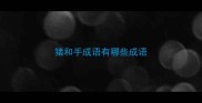 猪和手成语有哪些成语