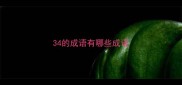 34的成语有哪些成语