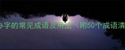 包含办字的常见成语及用法附50个成语清单