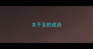 关于至的成语