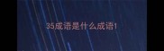 35成语是什么成语