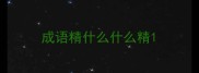 成语精什么什么精