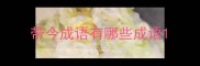 带今成语有哪些成语