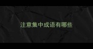 注意集中成语有哪些