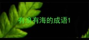 有浪有海的成语