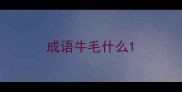 成语牛毛什么