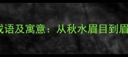 10个与眉眼相关的经典成语及寓意从秋水眉目到眉飞色舞的传统文化密码