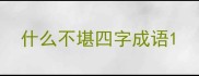 什么不堪四字成语