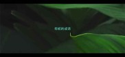 有岐的成语