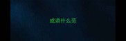 成语什么范
