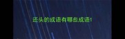 还头的成语有哪些成语