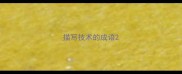 描写技术的成语