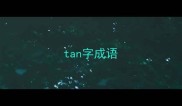 tan字成语