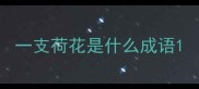 一支荷花是什么成语