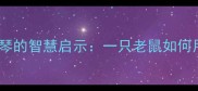 趣味成语故事对牛弹琴的智慧启示一只老鼠如何用成语智慧化解危机