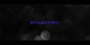 鹅开头成语有哪些