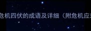 10个形容危机四伏的成语及详细附危机应对策略