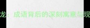 叶公好龙成语背后的深刻寓意与现实启示