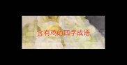 含有鸡的四字成语