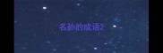 名孙的成语