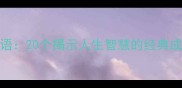 变的的成语20个揭示人生智慧的经典成语及实用