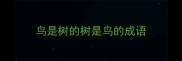 鸟是树的树是鸟的成语