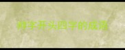帅字开头四字的成语