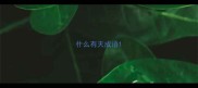 什么有天成语