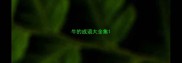 牛的成语大全集