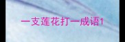 一支莲花打一成语