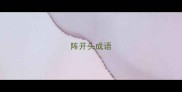 阵开头成语