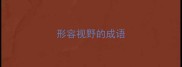 形容视野的成语