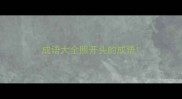 成语大全照开头的成语