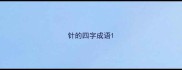 针的四字成语
