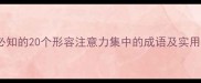 高效学习必知的20个形容注意力集中的成语及实用应用指南