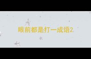 眼前都是打一成语