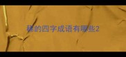 稀的四字成语有哪些