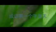 成语第一个字是无
