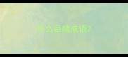 什么目睹成语