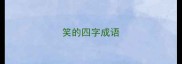 笑的四字成语