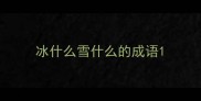 冰什么雪什么的成语