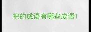 把的成语有哪些成语